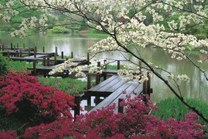 El Jardín Japonés es una pequeña parte de Japón en Buenos Aires.